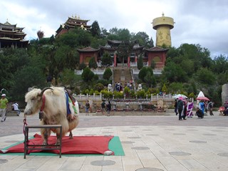 Yunnan